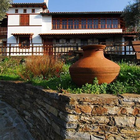 Guesthouse Apanemia Áfiszosz Kültér fotó